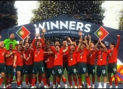 开云体育登录-葡萄牙队巅峰表现，欧预赛夺得冠军的简单介绍