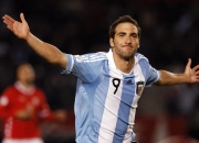 开云在线直播-楚阿梅尼关键一击，尼斯斩落加拿大背后的战术密码