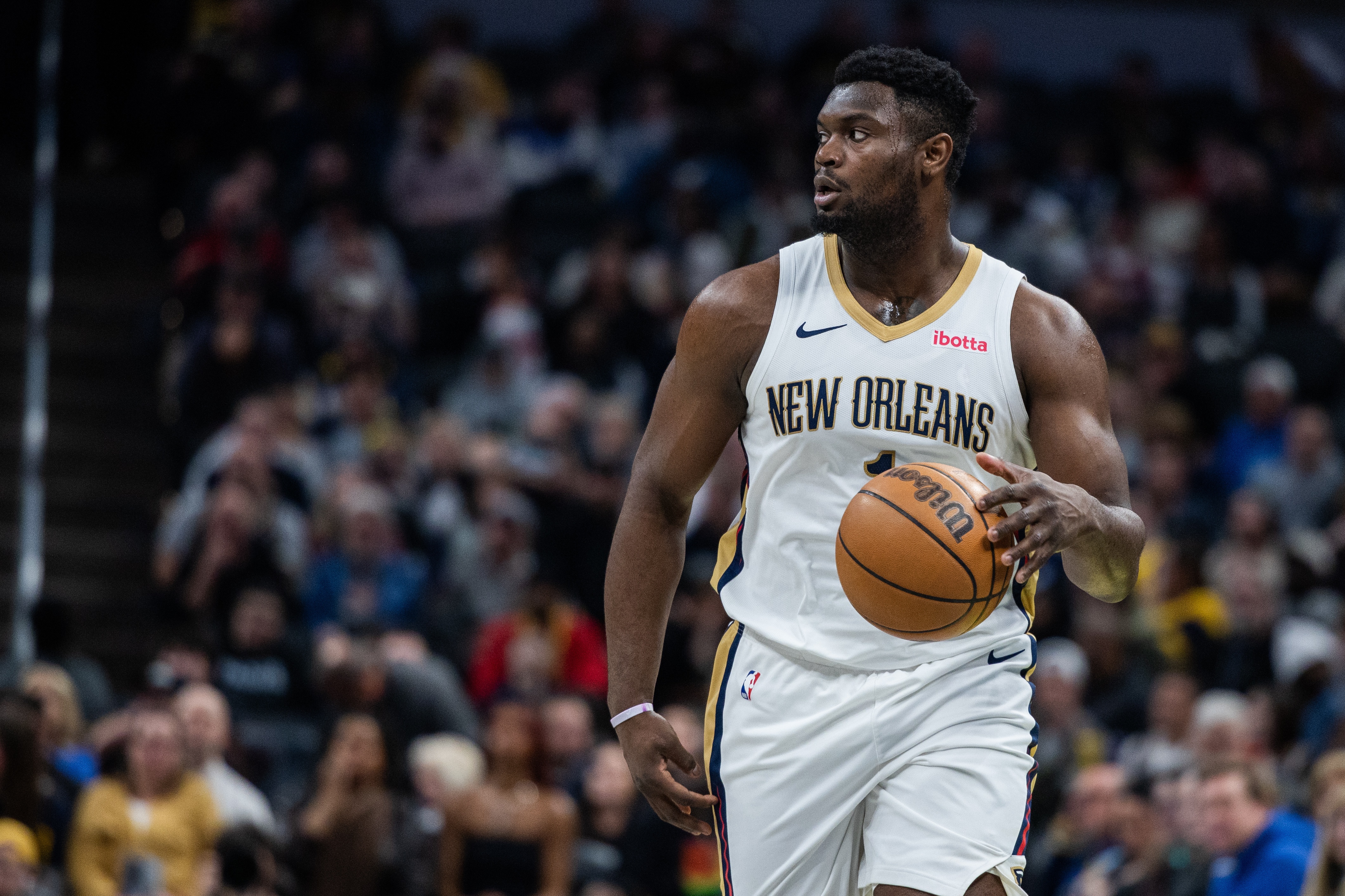 关于鹈鹕横扫澳大利亚男篮，福克斯统治全场的信息