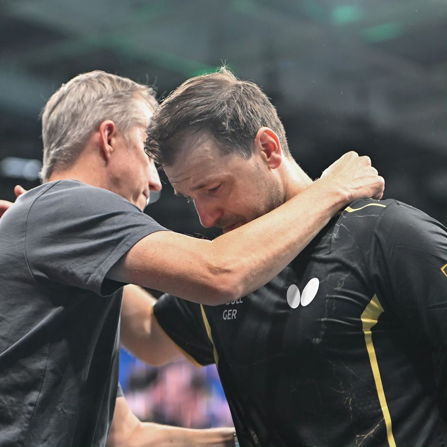 法国乒乓球队轻取德国乒乓球队，波尔爆发神勇的简单介绍