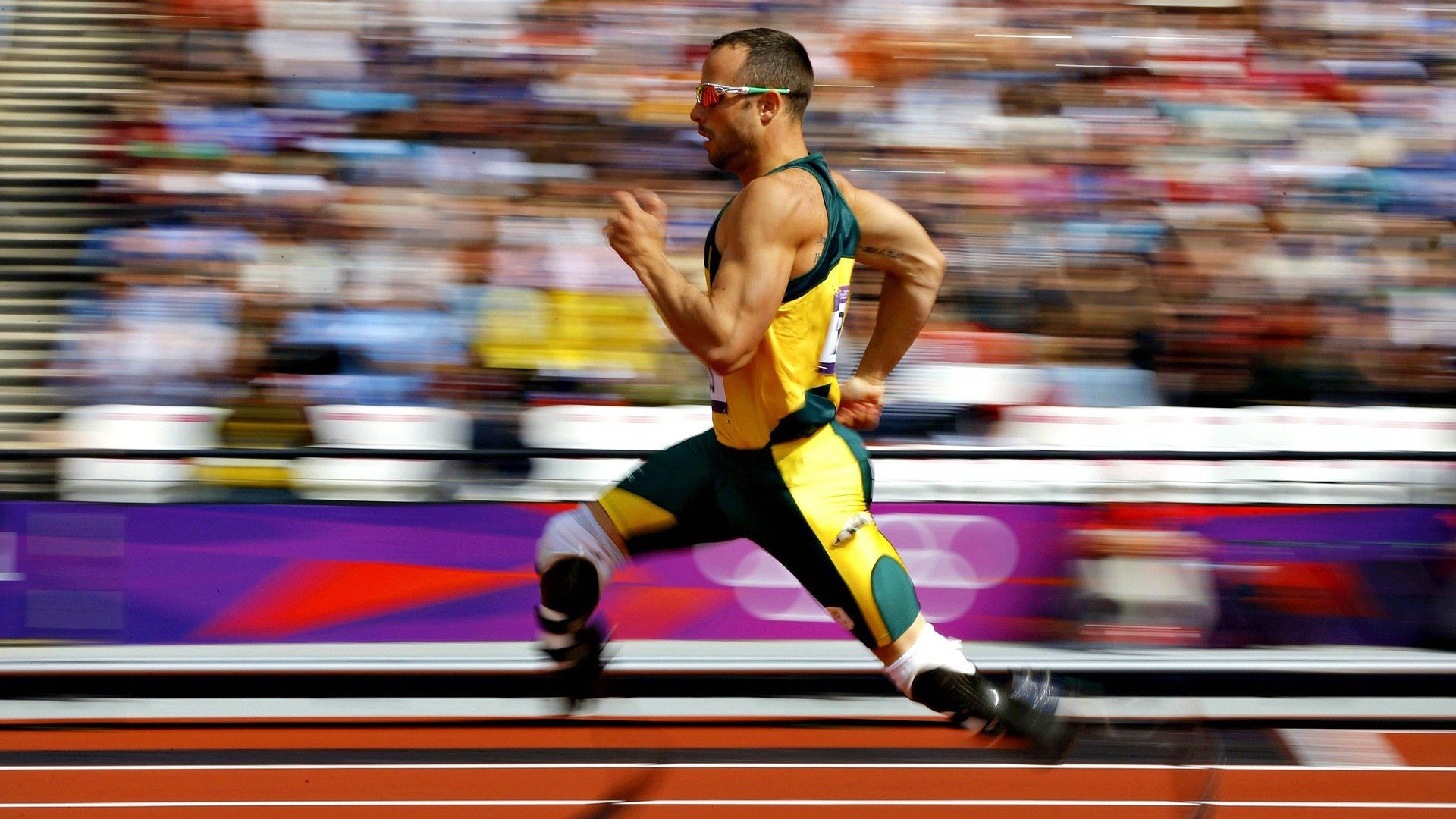 跨界风暴，广东队战术冲垮奇才体系，哈利伯顿英超式接管引发篮球哲学新思