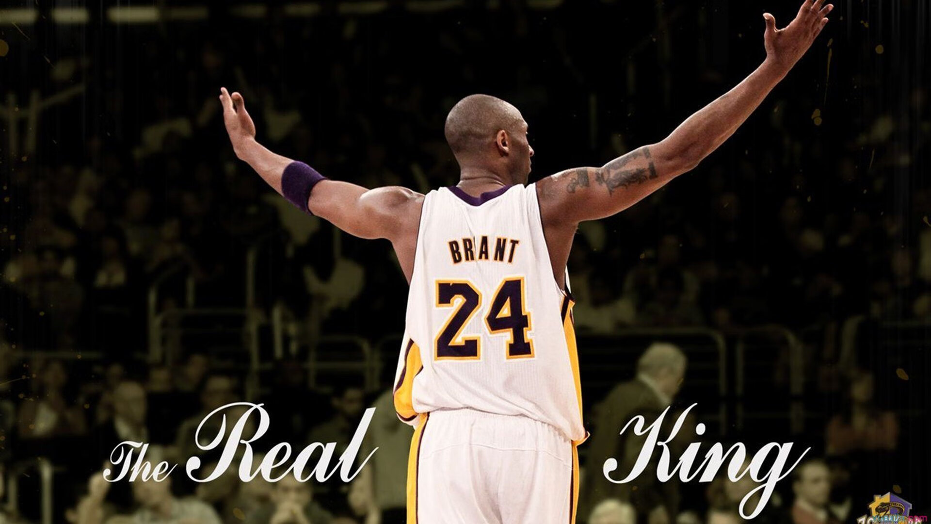 塞维利亚战术风暴席卷绿茵，蒂亚戈一锤定音锁定胜局